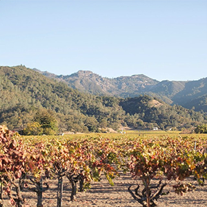 Frivolous Friday vol. 93